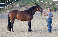 20110618185152 3518