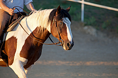 20110620202856 3975