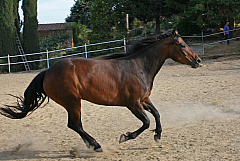 20110624183042 6728