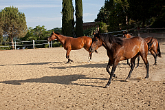 20110624184322 6857