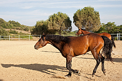 20110624184323 6858
