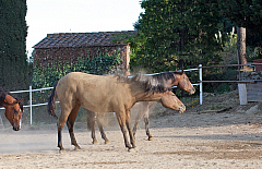 20110624185910 6986