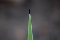 20120603212244 3280