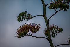 20120603213429 3425