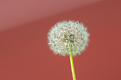 20120923162012 15889