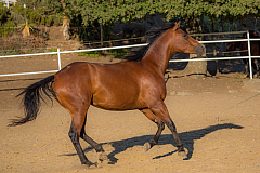 20120815190545 14875