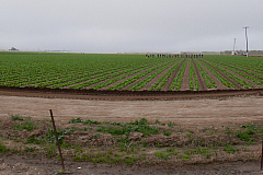 20120329100317 8225