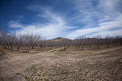 20120329140020 8434