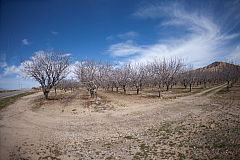 20120329140028 8436
