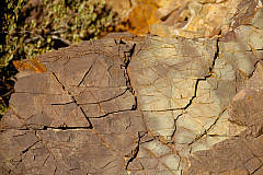 20120310182611 4477