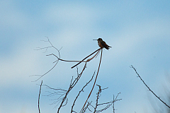20120310190459 4522