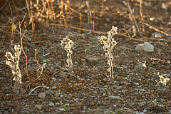 20120310191136 4540