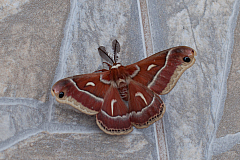 20120323134537 7265