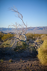 20120320190802 6284