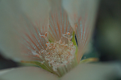 20120320194502 6435