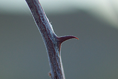 20120320194828 6445