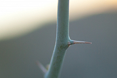 20120320194927 6449