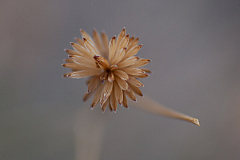 20120320195526 6478
