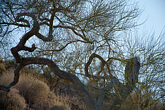 20120311182343 4573