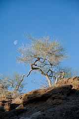 20120312085440 4640