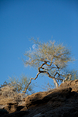 20120312085515 4642