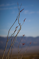 20120313084646 4839