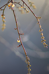 20120313090325 4873