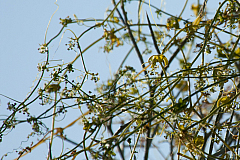 20120313182102 5092