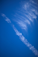 20120314145234 5294