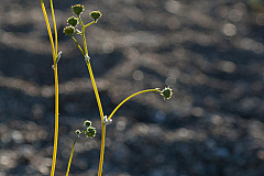20120314184414 5321