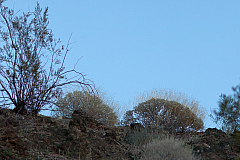 20120314191857 5347