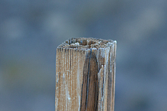 20120314192508 5352