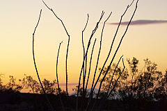 20120314200228 5417
