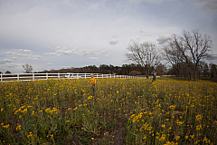 20120306164643 3902