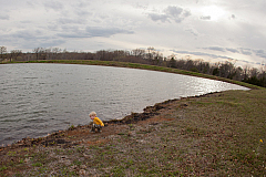20120306165428 3992