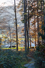 20131109161345 29268