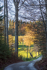20131109161554 29281