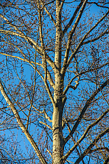 20131109161612 29283