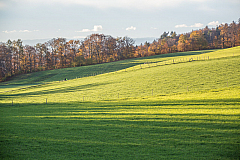 20131109161717 29287