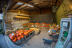 20131109170431 29421