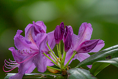 20130615192318 29449