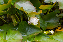 20130619173607 21275