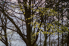 20130501182041 25119