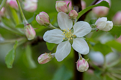 05-06