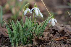 20130309152357 20282