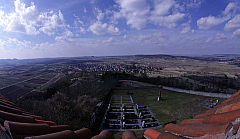 IMG_2919