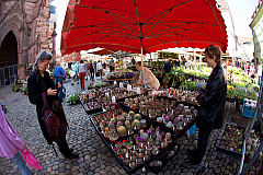 2010 IMG 0708