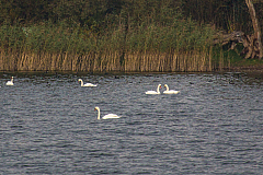 20141005170745 73785