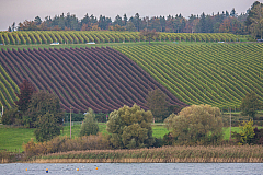 20141005171016 73824