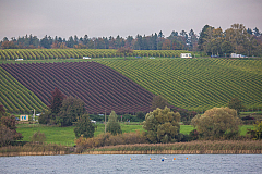 20141005171026 73828